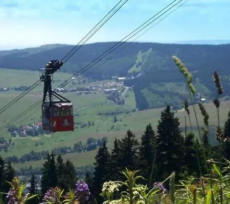 Katzengold *
